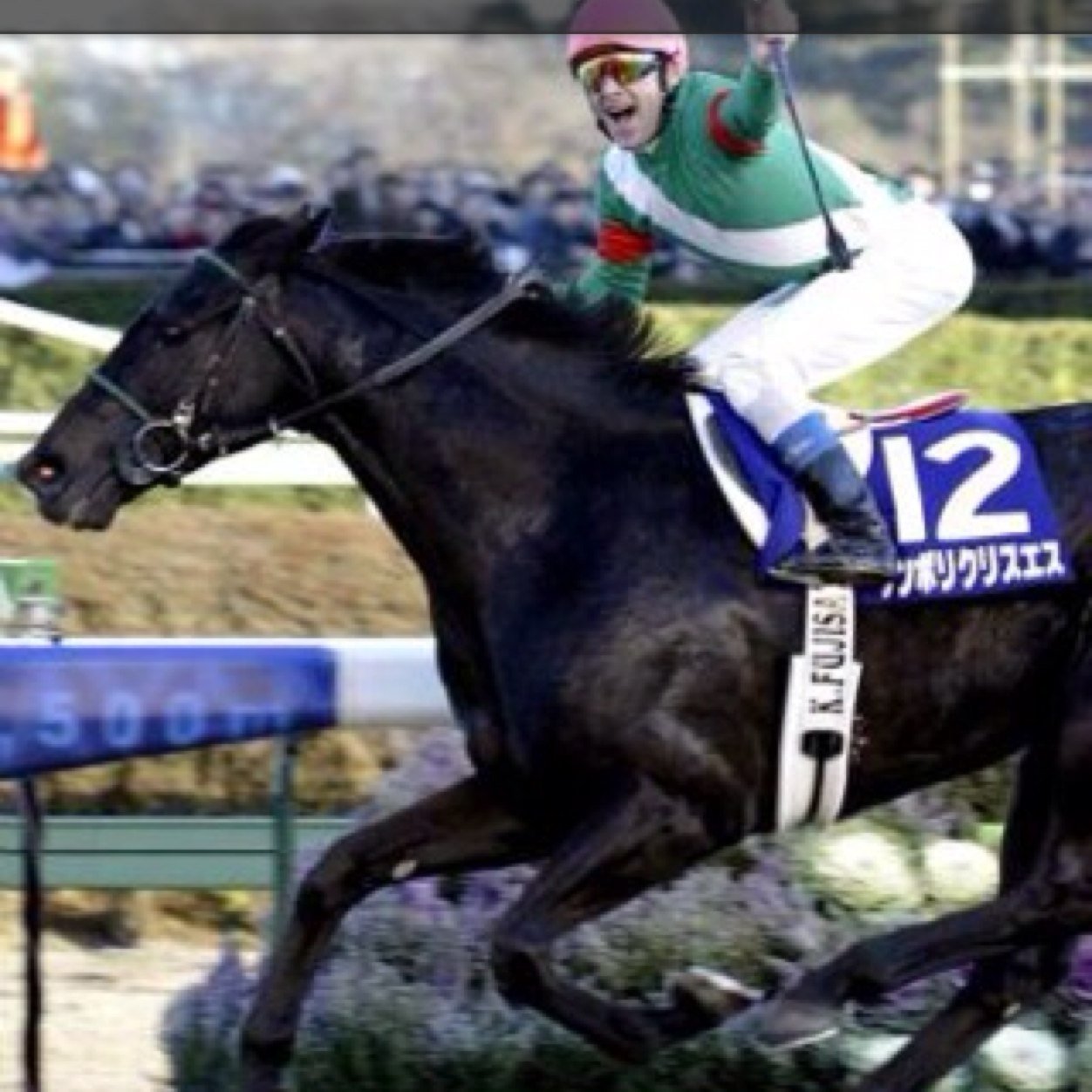 競馬関連アカウント