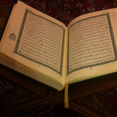 يارب لا تجعلني أضر أحداً من خلقك قصداً مني أو جهلاً و ارفعني بالذكر الطيب بمحياي و بمماتي ♡ لاإله آلا انت سبحانك آني كنت من الظالمين.
