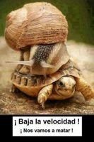 Follow me i follow back.I like soccer.And Mexican food.