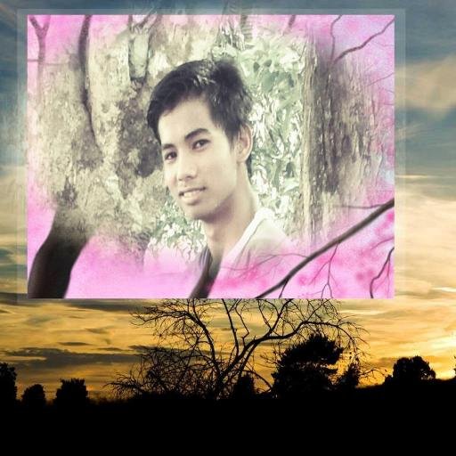 n_sacsac's profile picture. 