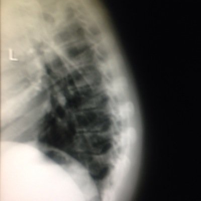 chillywilbert's profile picture. 