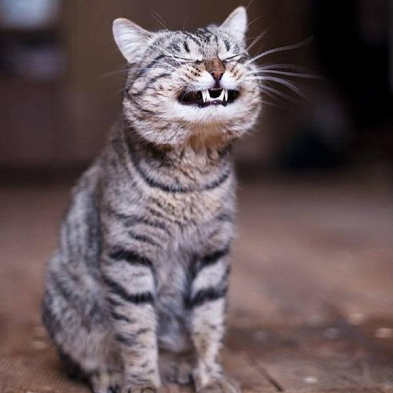 StuckinSimpson's profile picture. #lovesquilting #Fredlovesme #motherof4 #lovesdarts #lovesfishing  #quiltingforlife #quilter #quiltme #scrappyquilter #singersewing #liidliikue #fortsimpson