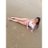 morgan_gough12's profile image