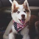 Thiên Quách - @077c5f3f9c654d7 - Twitter