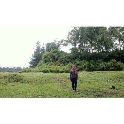 srh_yln's profile picture. 