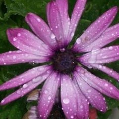 empty0ceans's profile picture. one day it will all be okay