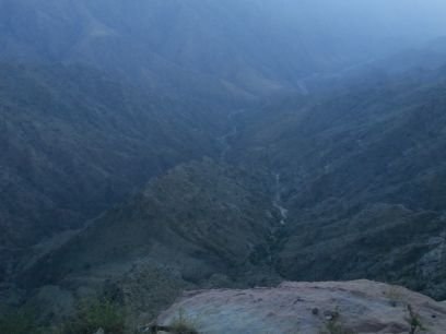 za99582's profile picture. 