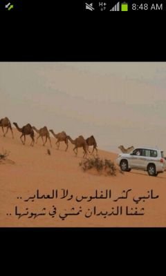 ‏المدينه المنوره