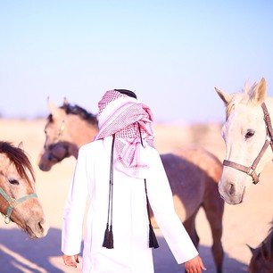 m_alrbi3's profile picture. 