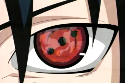 seoexplorer1001's profile picture. 