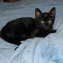 Louie Kelly - @CaptLouieKitty - Twitter