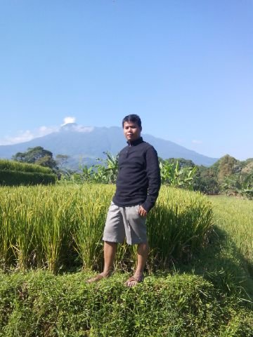 edysis_sis's profile picture. 