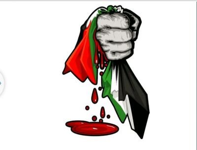 I'm a Palestinian Muslim mc/activist/poet/writer who speaks for those oppressed. Ive got a razor tounge to shred propaganda. FREE PALESTINE! 
IG: @alirealhiphop