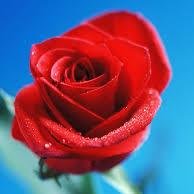 shankru63's profile picture. Shankar Prasad T M