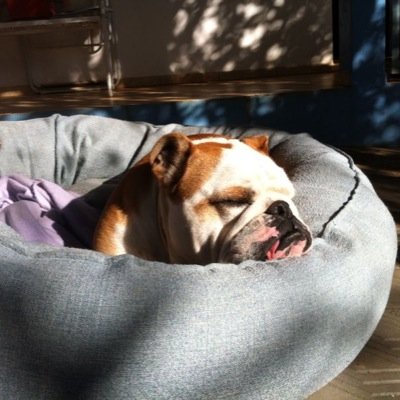 Apzaupa's profile picture. 