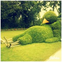 Nyx Cha (@cha_nyx) 's Twitter Profile Photo