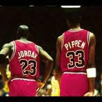 Bulls till i die