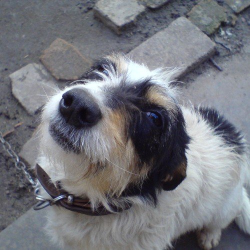 4uku4uku's profile picture. Богат, знаменит, нет отбоя от девченок, предельно крут... Это о Брюс Уилисе, теперь о себе: Безапелляционный неудачник, сплю со светом.