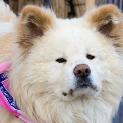 いつの間にか、57と思いきや早67いや統一教会を広めた桜田〇〇と同い年だった😰自分には色々な人生だったけど…なっていました、（≧∇≦）人生色々ありました、そして此れからは？...