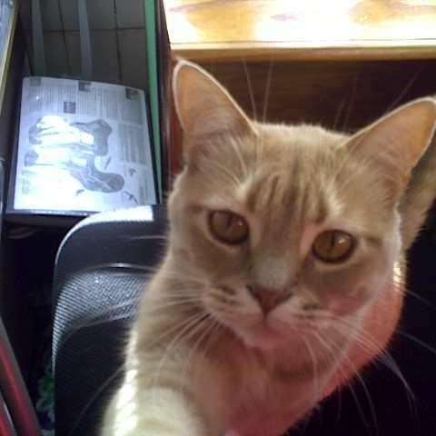 McpbCris's profile picture. 