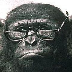 Teacher of Psychology. Bonobos are my favourite.