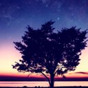 مواطن عادي (@0008Ram) Twitter