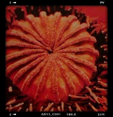 Cornersbristol's profile picture. Indie pop legends, currently resting up and enjoying other projects.