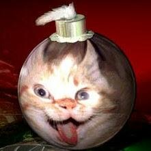 DThuijs's profile picture. Ajax, Pestcontrol.