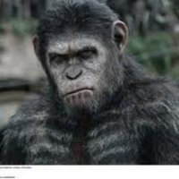 keith carter (@keithca11267960) 's Twitter Profile