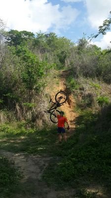 MTB y Director de proyectos en seguridad Electrónica,