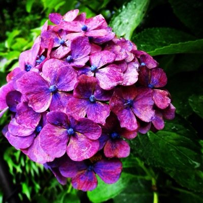 aaaakochch's profile picture. 