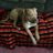evich_kathy's profile image