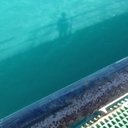 Daisy Barry - @daisy_barry - Twitter