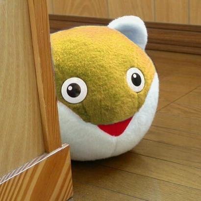 いろいろ