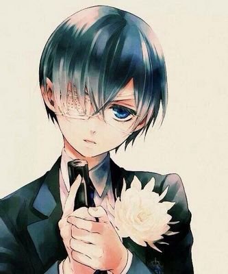 黒執事にはまり始めたばかりですが、よろしくお願いします！ちなみに、シエル好きです！可愛いです(*´ω｀*)     黒執事垢