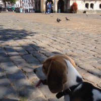 An (@janssen_anneke) 's Twitter Profile