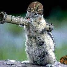 robjochiara's profile picture. simplemente un escrudiñador de la realidad twitera