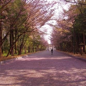 nemotoyuutabygc's profile picture. 