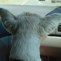 lovie (@maxjouk) 's Twitter Profile