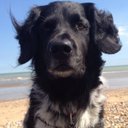 Eric Bosch - @Bryscima - Twitter