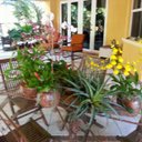 anthony maysonet - @Agm1018Anthony - Twitter