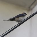 Dave MacMillan - @daveclaret - Twitter