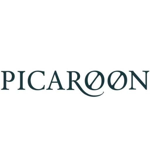 PicaroonTO's profile picture. Picaroon creates @InteractiveArt and was founded by Rebecca Gischel & Sebastian Walter