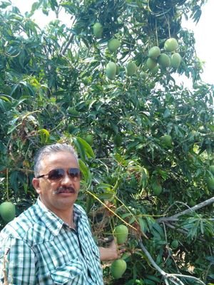 ARohta1's profile picture. May He grant you according to your hearts desire, and fulfill all your purpose,  Psalm 20: 4