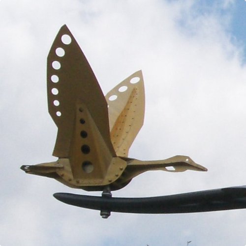 CorvallisHealth's profile picture. Helping Corvallis live healthy 140 characters at a time.