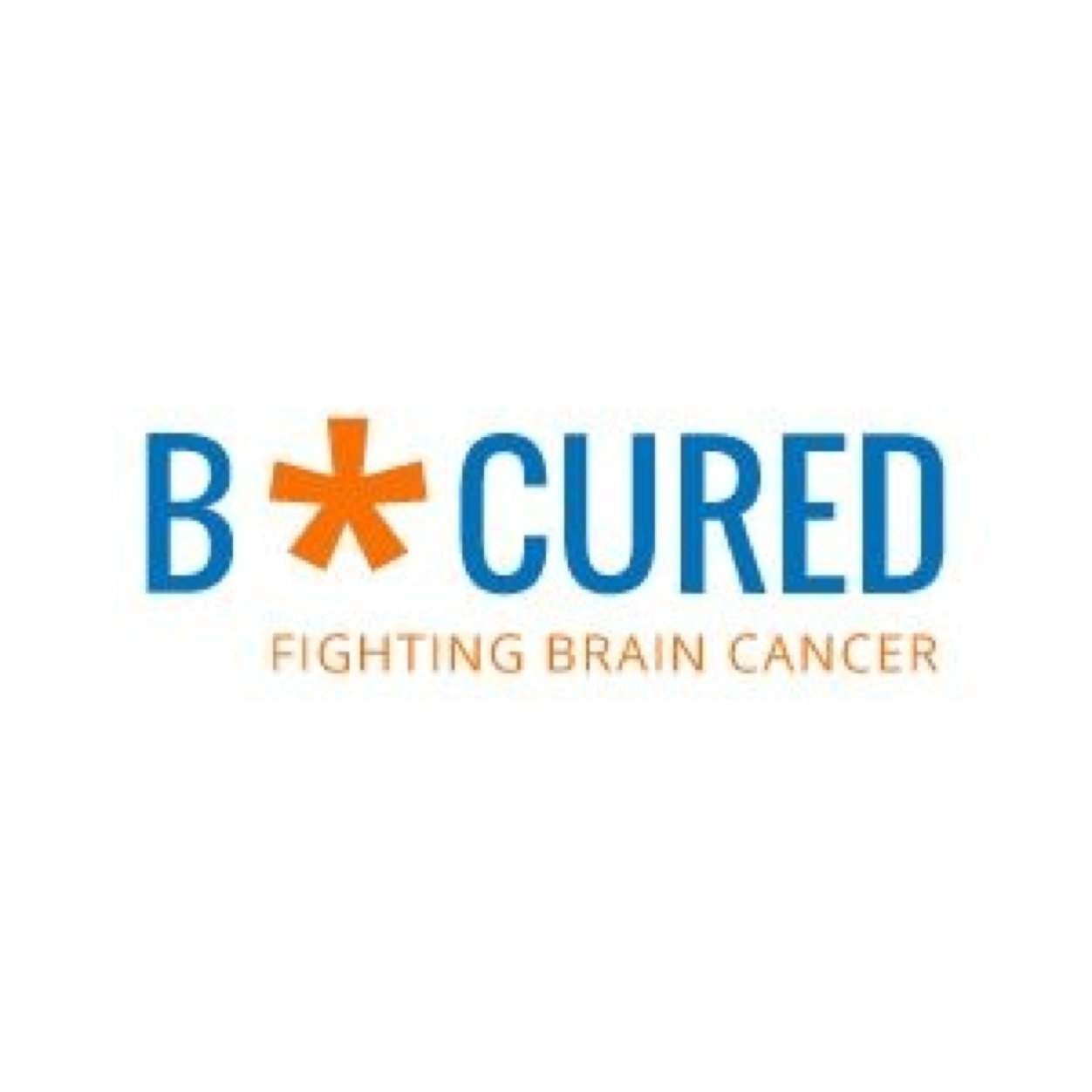Our mission is to end brain cancer. We are a volunteer non-profit organization working towards a cure by providing grants for innovative brain cancer research.