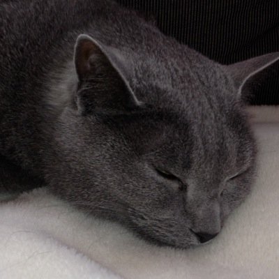 みゅこ Nico Myk Twitter