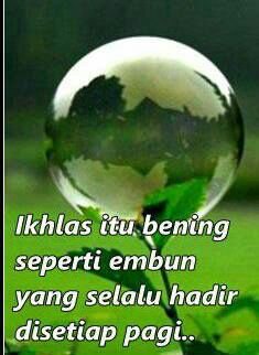 denkdora's profile picture. 