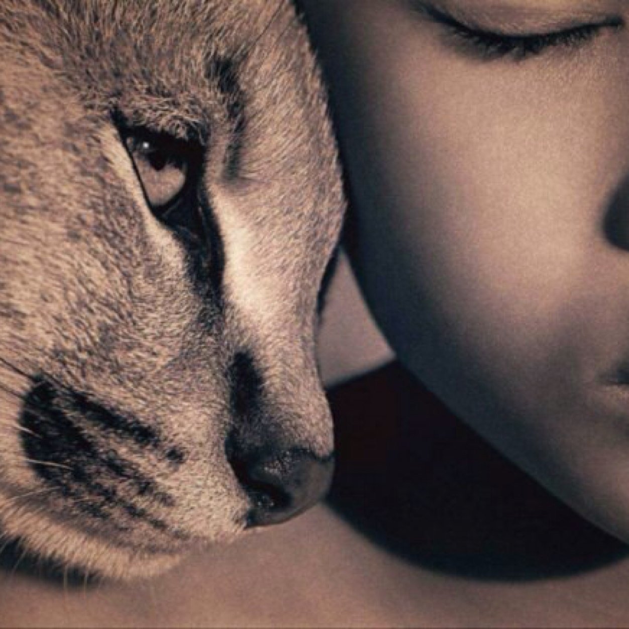 Louisa_Dibirova's profile picture. 