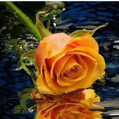 [ تلك الذكرياات ترافقني ...!!! ولا ترفق بيّ ]